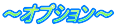 ～オプション～